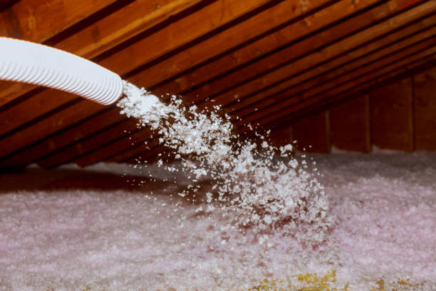 Best Energy Efficiency Insulation in Cedar Creek, TX