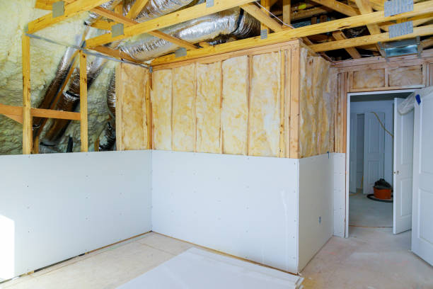 Best Blown-in Insulation in Cedar Creek, TX