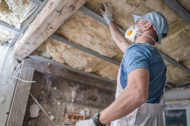 Professional Insulation Contractor in Cedar Creek, TX