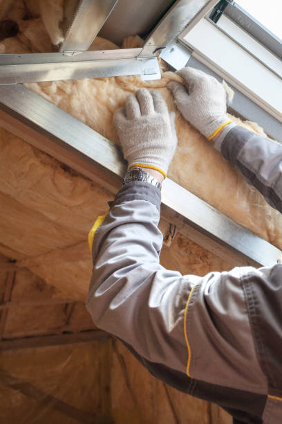 Types of Insulation We Offer in Cedar Creek, TX