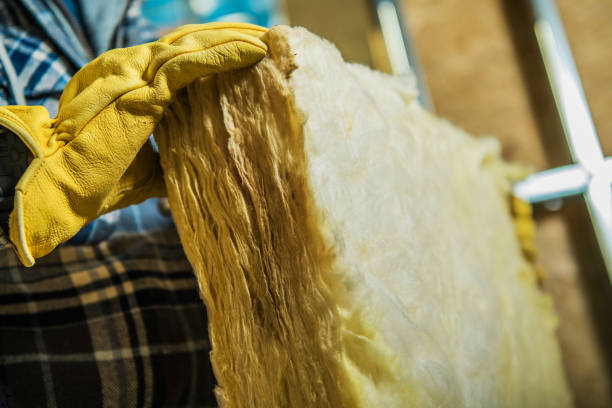 Best Cellulose Insulation in Cedar Creek, TX